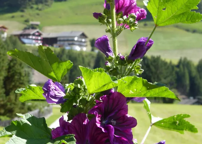 Haus Panoramablick